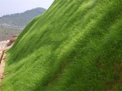 道路边坡生物防护